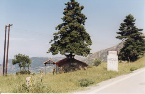 fteri4